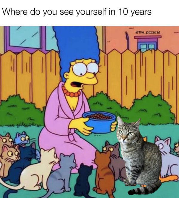 Where do you see yourself in 10 years 34 @the_pizzacat