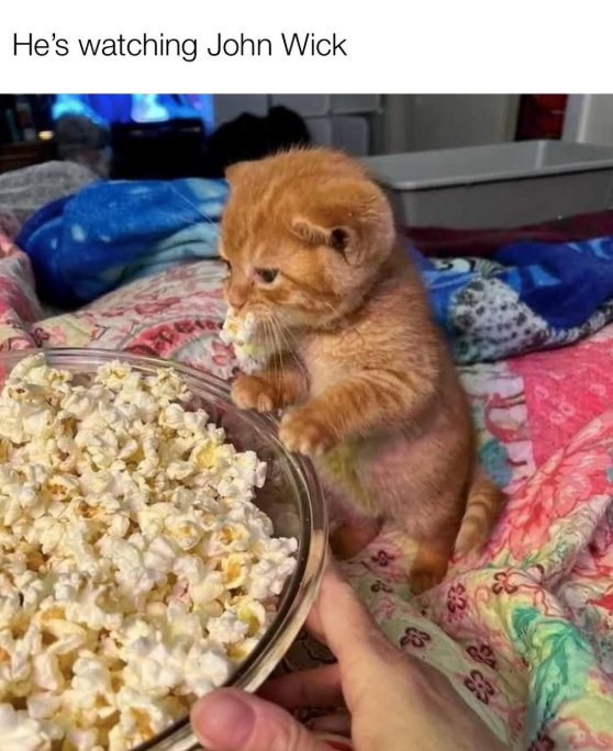 He's watching John Wick