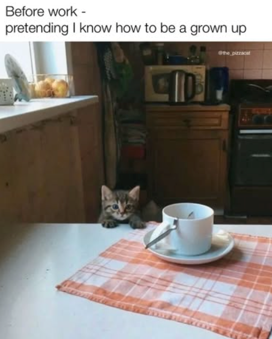 Before work - pretending I know how to be a grown up the pizzacat