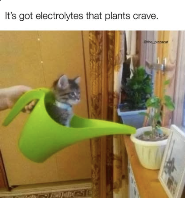 It's got electrolytes that plants crave. @the_pizzacat