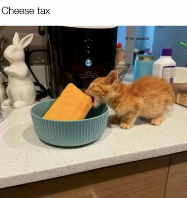 Cheese tax @the_pizzacat