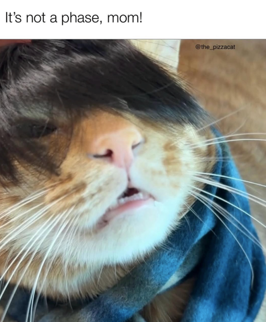 It's not a phase, mom! @the_pizzacat