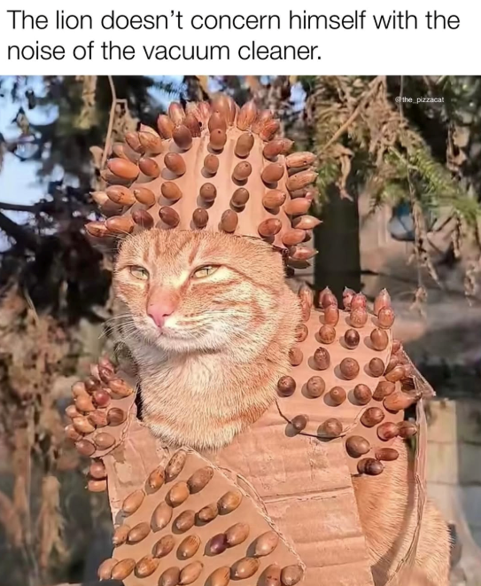 The lion doesn't concern himself with the noise of the vacuum cleaner. the pizzacat