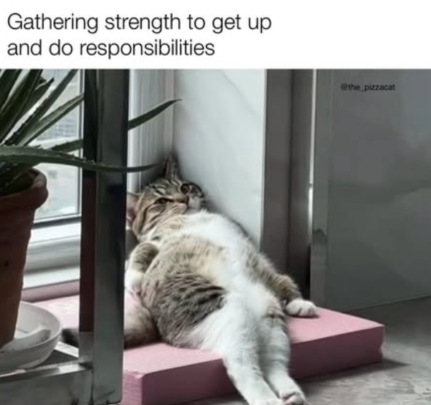 Gathering strength to get up and do responsibilities @the pizzacat