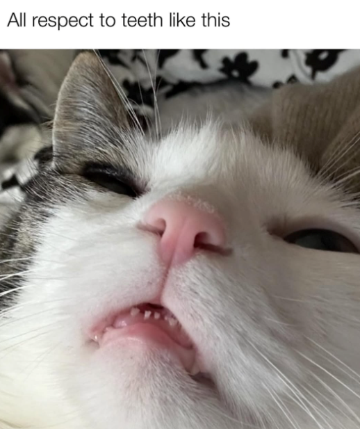 All respect to teeth like this