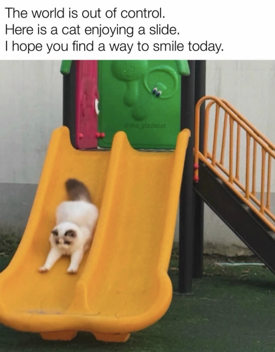 The world is out of control. Here is a cat enjoying a slide. I hope you find a way to smile today. @the_pizzacat
