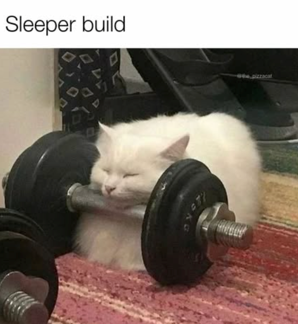 Sleeper build pizzacat
