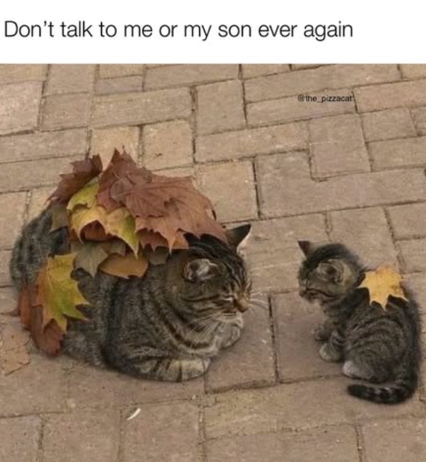 Don't talk to me or my son ever again the pizzacat