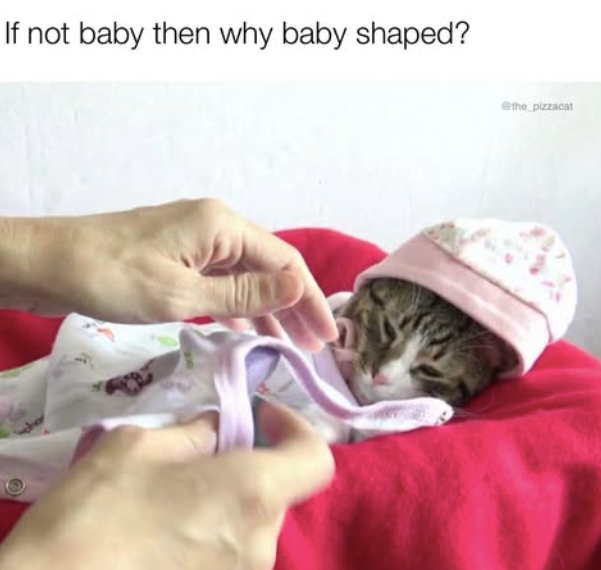 If not baby then why baby shaped? @the pizzacat