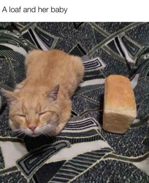 A loaf and her baby
