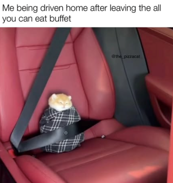 Me being driven home after leaving the all you can eat buffet @the pizzacal