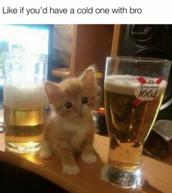 Like if you'd have a cold one with bro 1664