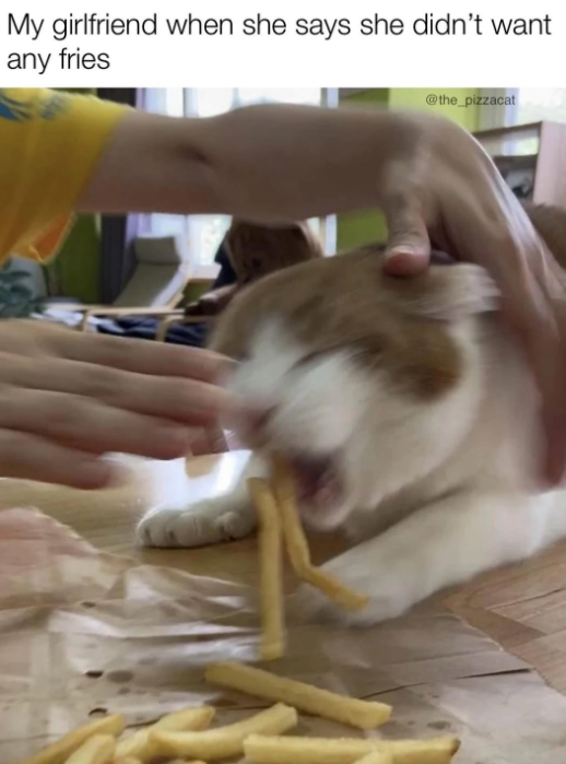 My girlfriend when she says she didn't want any fries @the_pizzacat