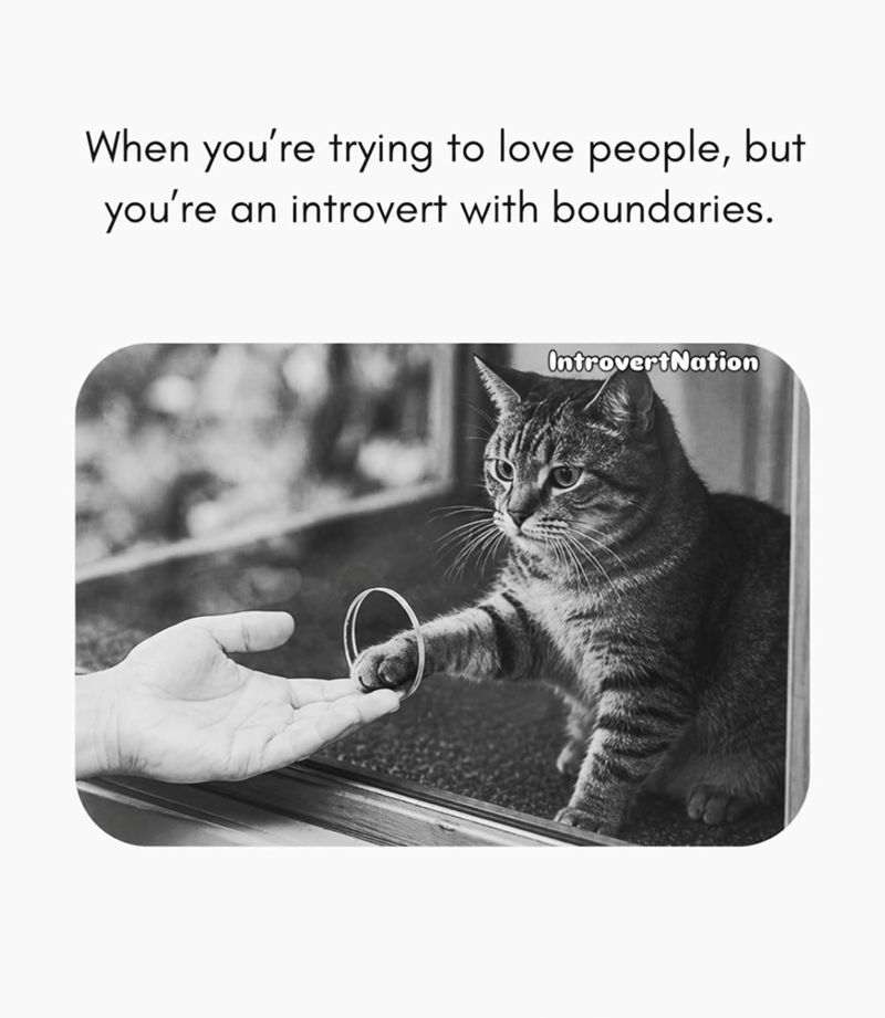 When you're trying to love people, but you're an introvert with boundaries. IntrovertNation