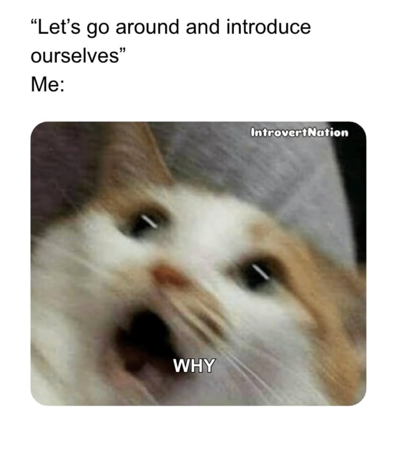 "Let's go around and introduce ourselves" Me: WHY IntrovertNation