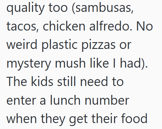 quality too (sambusas, tacos, chicken alfredo. No weird plastic pizzas or mystery mush like I had). The kids still need to enter a lunch number when they get their food