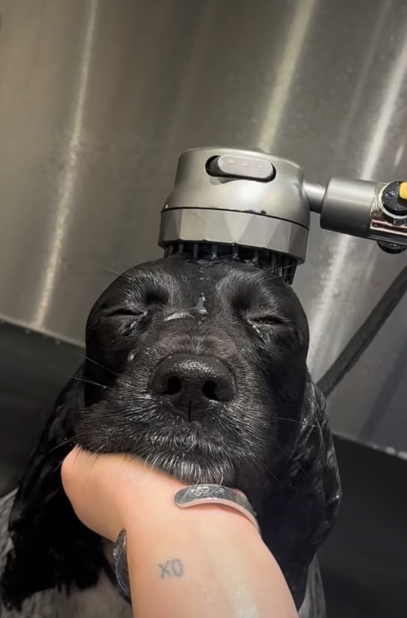 хо