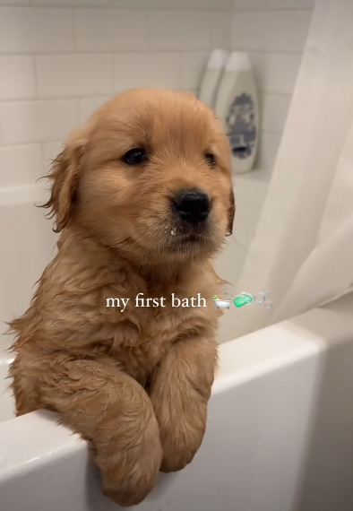 my first bath