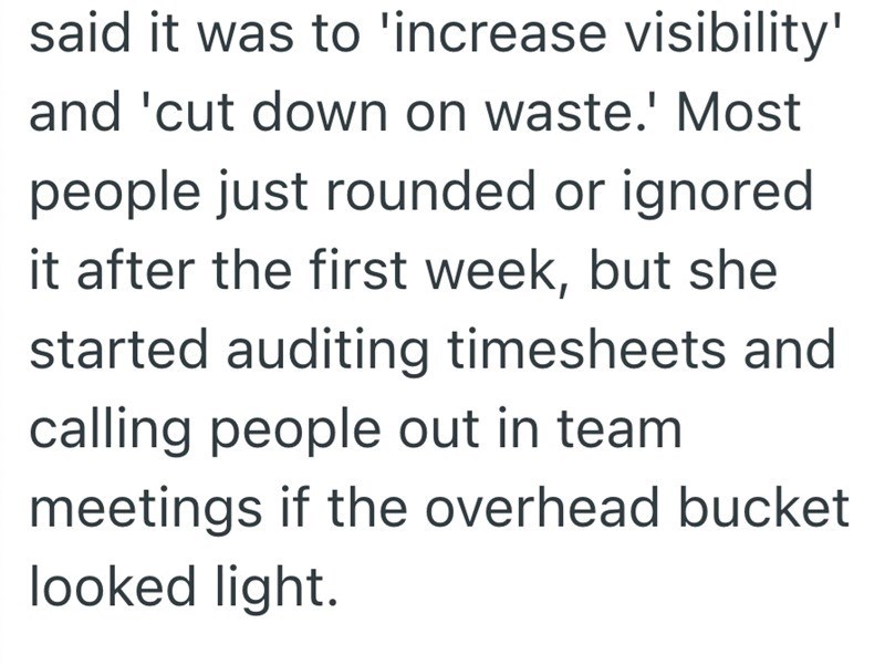 said it was to 'increase visibility' and 'cut down on waste.' Most people just rounded or ignored it after the first week, but she started auditing timesheets and calling people out in team meetings if the overhead bucket looked light.