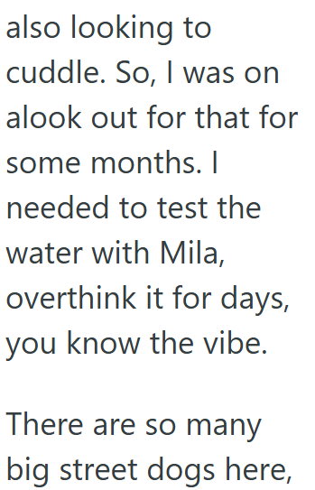also looking to cuddle. So, I was on alook out for that for some months. I needed to test the water with Mila, overthink it for days, you know the vibe. There are so many big street dogs here,