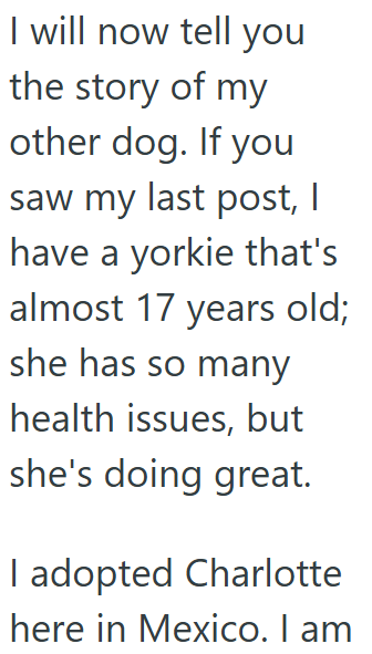 I will now tell you the story of my other dog. If you saw my last post, I have a yorkie that's almost 17 years old; she has so many health issues, but she's doing great. I adopted Charlotte here in Mexico. I am