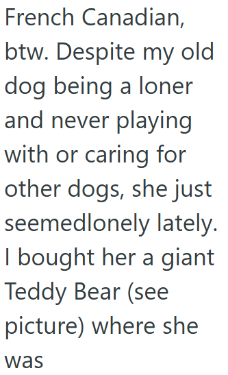 French Canadian, btw. Despite my old dog being a loner and never playing with or caring for other dogs, she just seemedlonely lately. I bought her a giant Teddy Bear (see picture) where she was