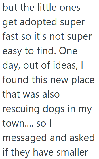 but the little ones get adopted super fast so it's not super easy to find. One day, out of ideas, I found this new place that was also rescuing dogs in my town.... so I messaged and asked if they have smaller