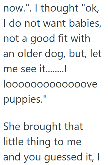 now.". I thought "ok, I do not want babies, not a good fit with an older dog, but, let me see it........| looooooooooooove puppies." She brought that little thing to me and you guessed it, I