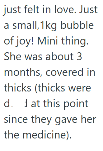 just felt in love. Just a small,1kg bubble of joy! Mini thing. She was about 3 months, covered in thicks (thicks were d. at this point since they gave her the medicine).