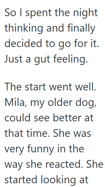 So I spent the night thinking and finally decided to go for it. Just a gut feeling. The start went well. Mila, my older dog, could see better at that time. She was very funny in the way she reacted. She started looking at