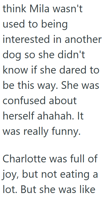think Mila wasn't used to being interested in another dog so she didn't know if she dared to be this way. She was confused about herself ahahah. It was really funny. Charlotte was full of joy, but not eating a lot. But she was like