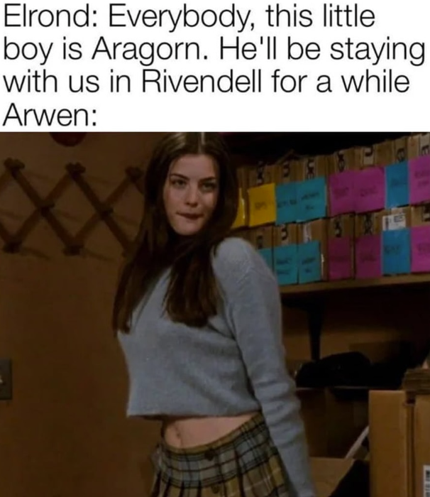Elrond: Everybody, this little boy is Aragorn. He'll be staying with us in Rivendell for a while Arwen: 11316