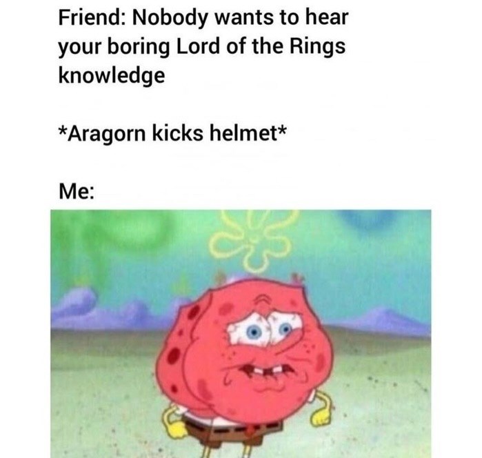 Friend: Nobody wants to hear your boring Lord of the Rings knowledge *Aragorn kicks helmet* Me: