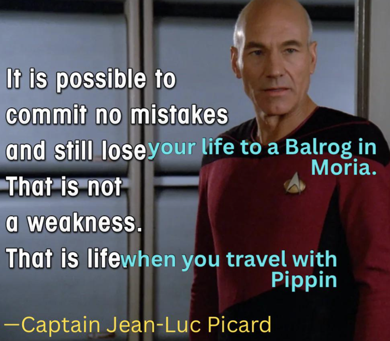 It is possible to commit no mistakes and still lose your life to a Balrog in That is not Moria. a weakness. That is life when you travel with -Captain Jean-Luc Picard Pippin