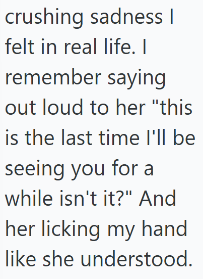 crushing sadness | felt in real life. I remember saying out loud to her "this is the last time I'll be seeing you for a while isn't it?" And her licking my hand like she understood.