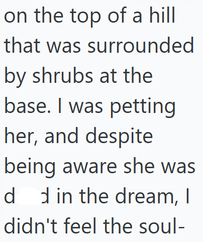 on the top of a hill that was surrounded by shrubs at the base. I was petting her, and despite being aware she was dd in the dream, I didn't feel the soul-