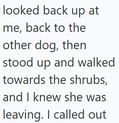looked back up at me, back to the other dog, then stood up and walked towards the shrubs, and I knew she was leaving. I called out