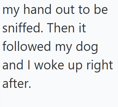 my hand out to be sniffed. Then it followed my dog and I woke up right after.