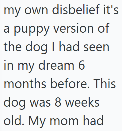 my own disbelief it's a puppy version of the dog I had seen in my dream 6 months before. This dog was 8 weeks old. My mom had