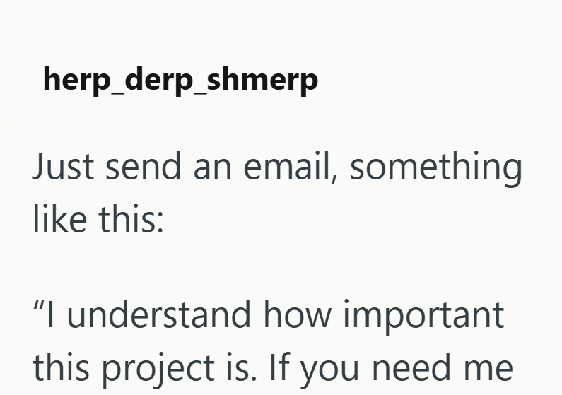 herp_derp_shmerp Just send an email, something like this: "I understand how important this project is. If you need me