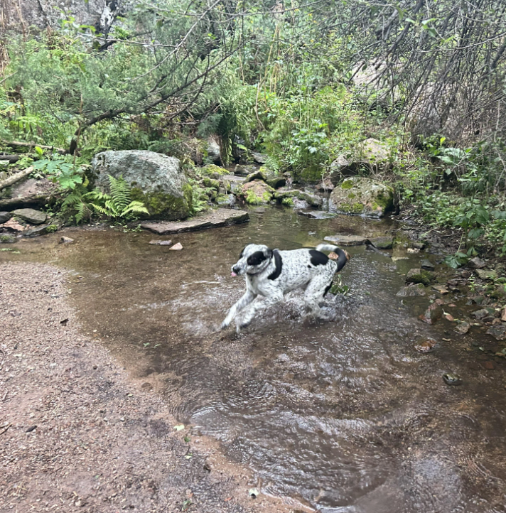 Cheezburger Image 10641460224