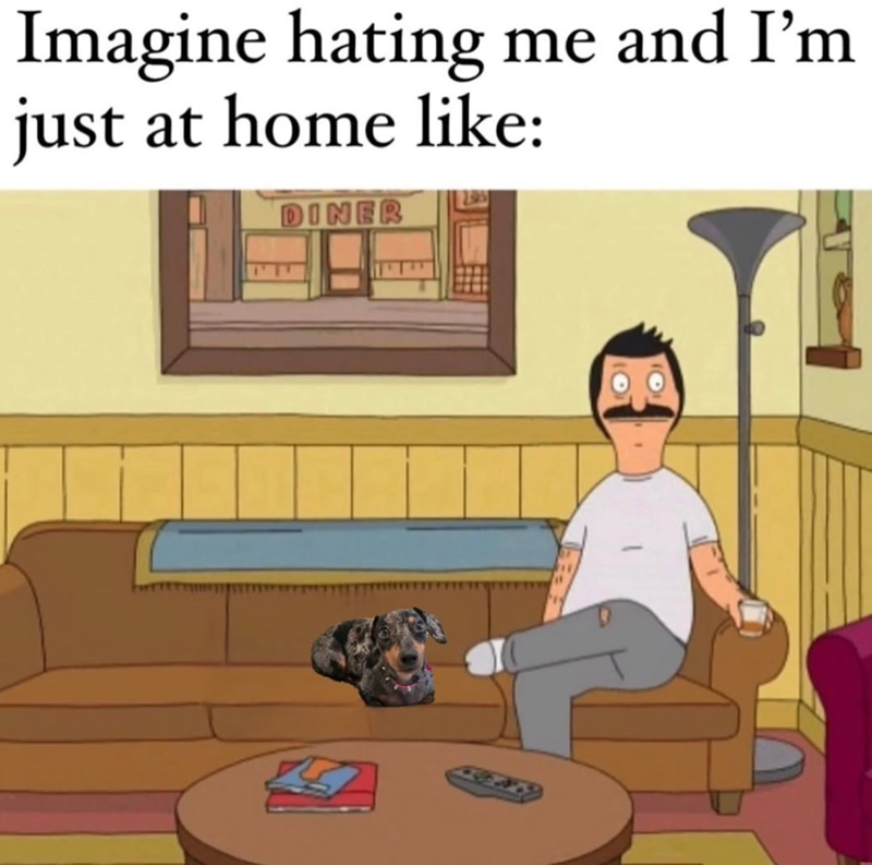 Imagine hating me and I'm just at home like: DINER