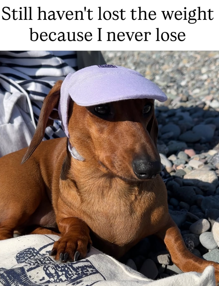 Still haven't lost the weight because I never lose