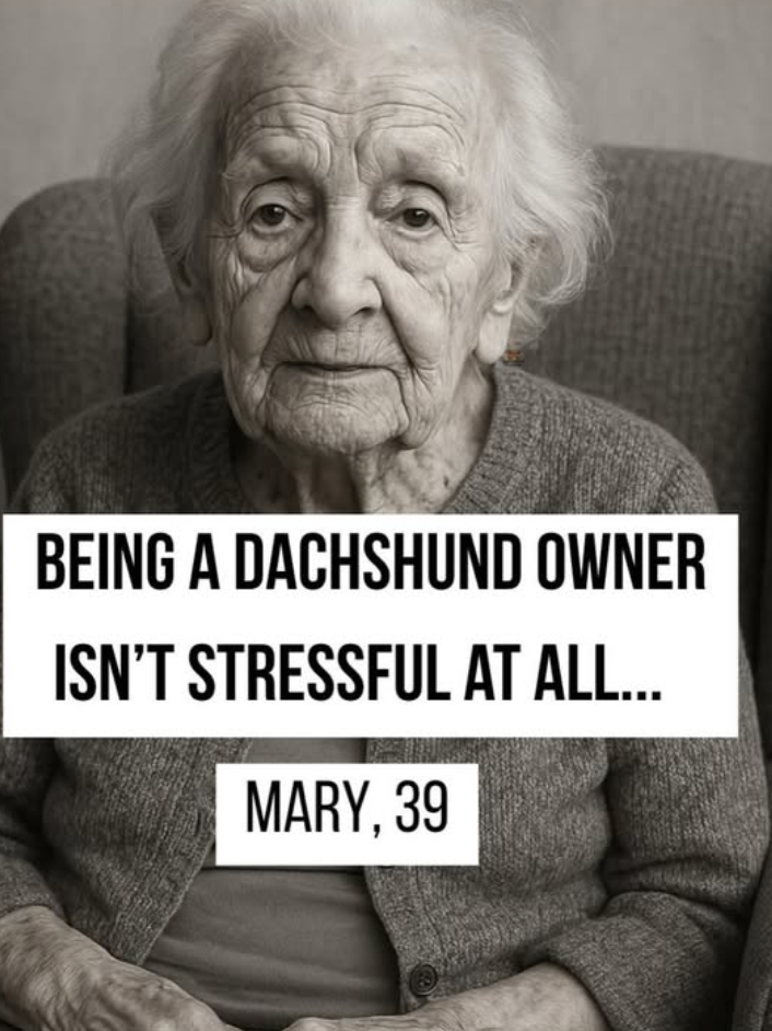 BEING A DACHSHUND OWNER ISN'T STRESSFUL AT ALL... MARY, 39