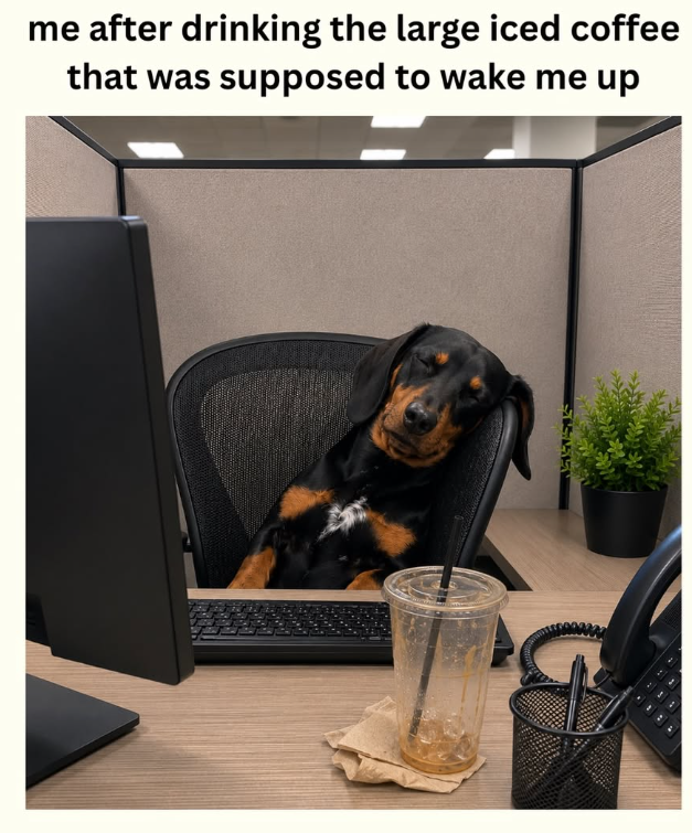 me after drinking the large iced coffee that was supposed to wake me up 575455