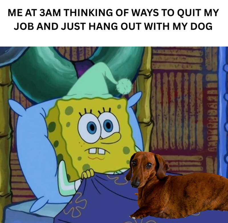 ME AT 3AM THINKING OF WAYS TO QUIT MY JOB AND JUST HANG OUT WITH MY DOG 33