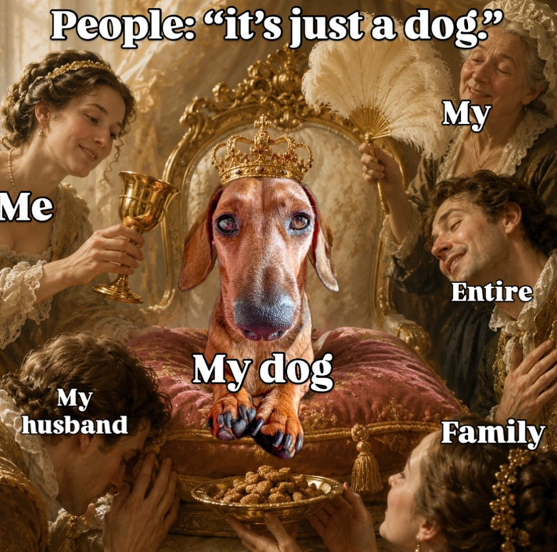 Me People: "it's just a dog" My My Chusband My dog Entire Family