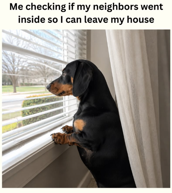 Me checking if my neighbors went inside so I can leave my house
