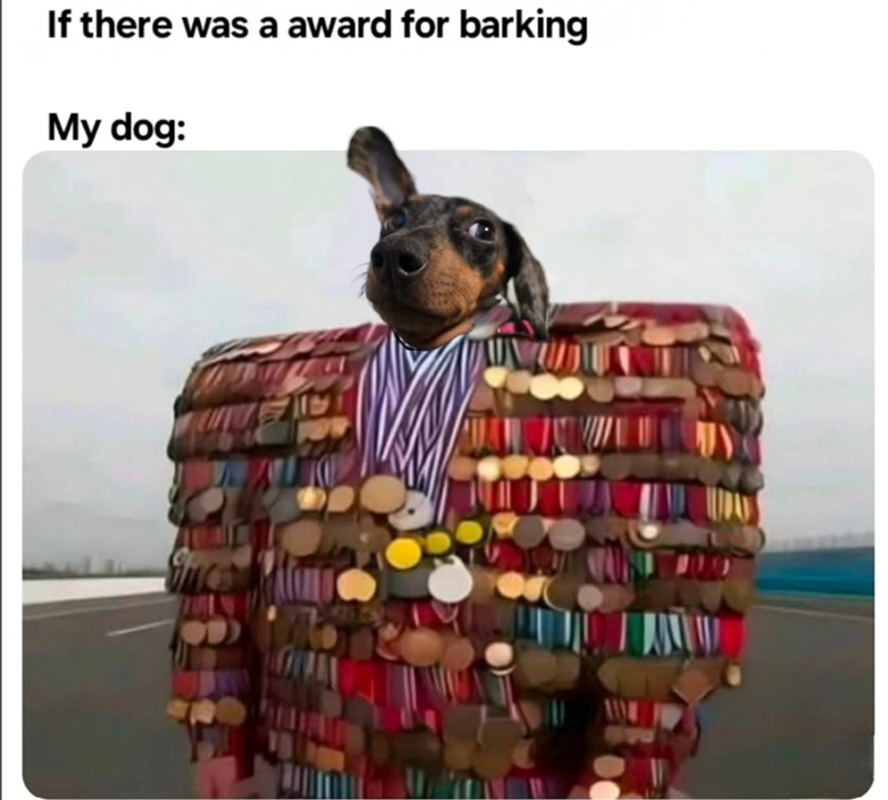If there was a award for barking My dog: