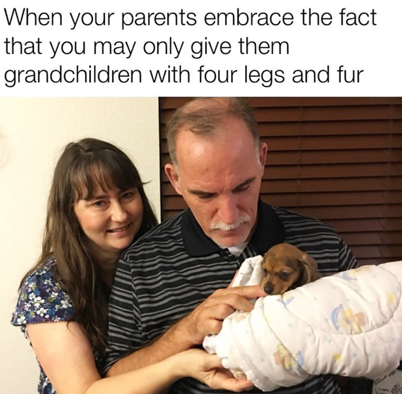When your parents embrace the fact that you may only give them. grandchildren with four legs and fur